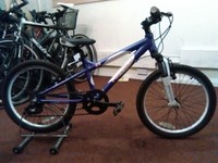 carrera luna 24 pink